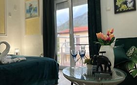Apartmani Vila Aleksandar